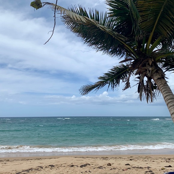 Meet your Posher, Mary - Picture 1 of 1